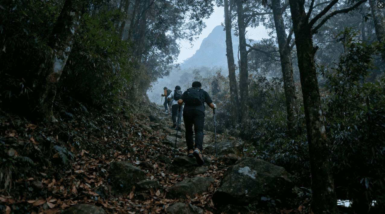 知乎专家深度分析：小牛加速器的优势与不足全面解析